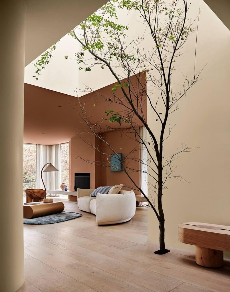 Cvs interiors
